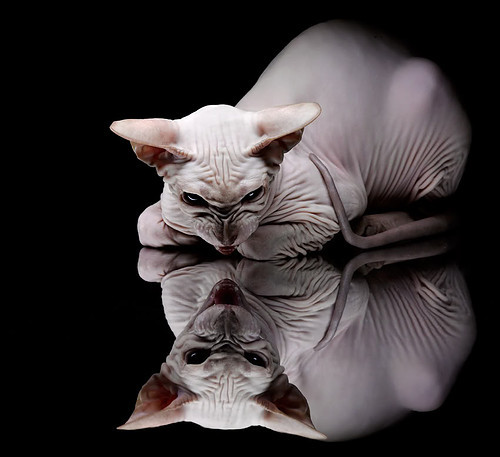 绿茵织锦,坎特的艺术时刻与卡塔尔的战术压制