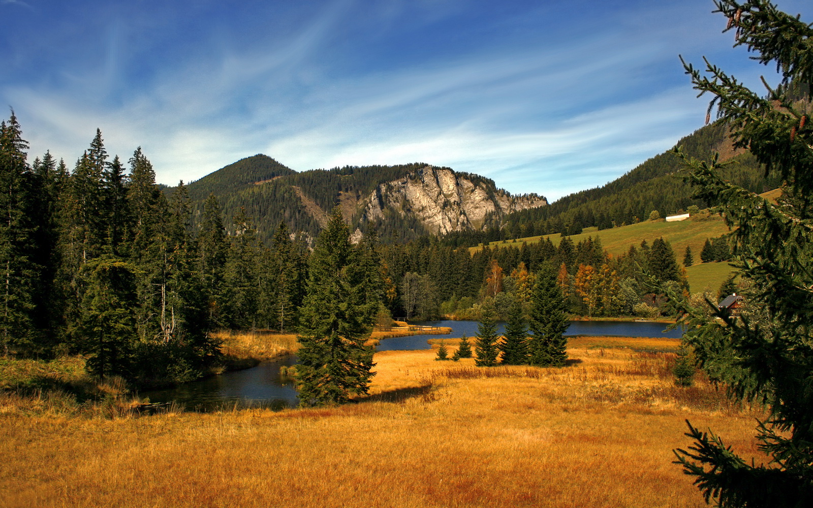 单节风暴！楚阿梅尼化身关键先生，澳大利亚撕裂中国防线