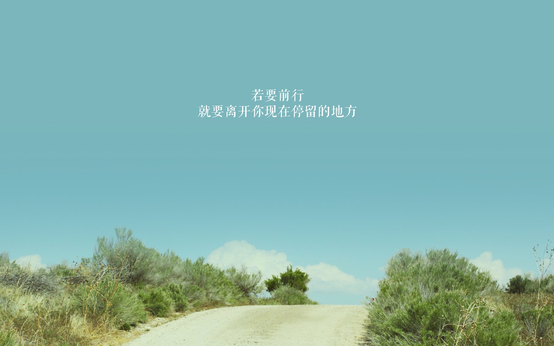 从伯纳乌暗影到国家荣光，帕尔默在压力下的爆发与委内瑞拉的足球自豪