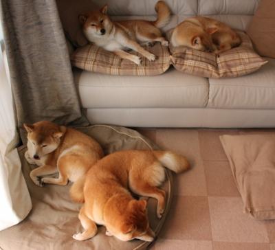 暴风雨前的破茧，杰伦·格林生涯之夜撕裂北京防线