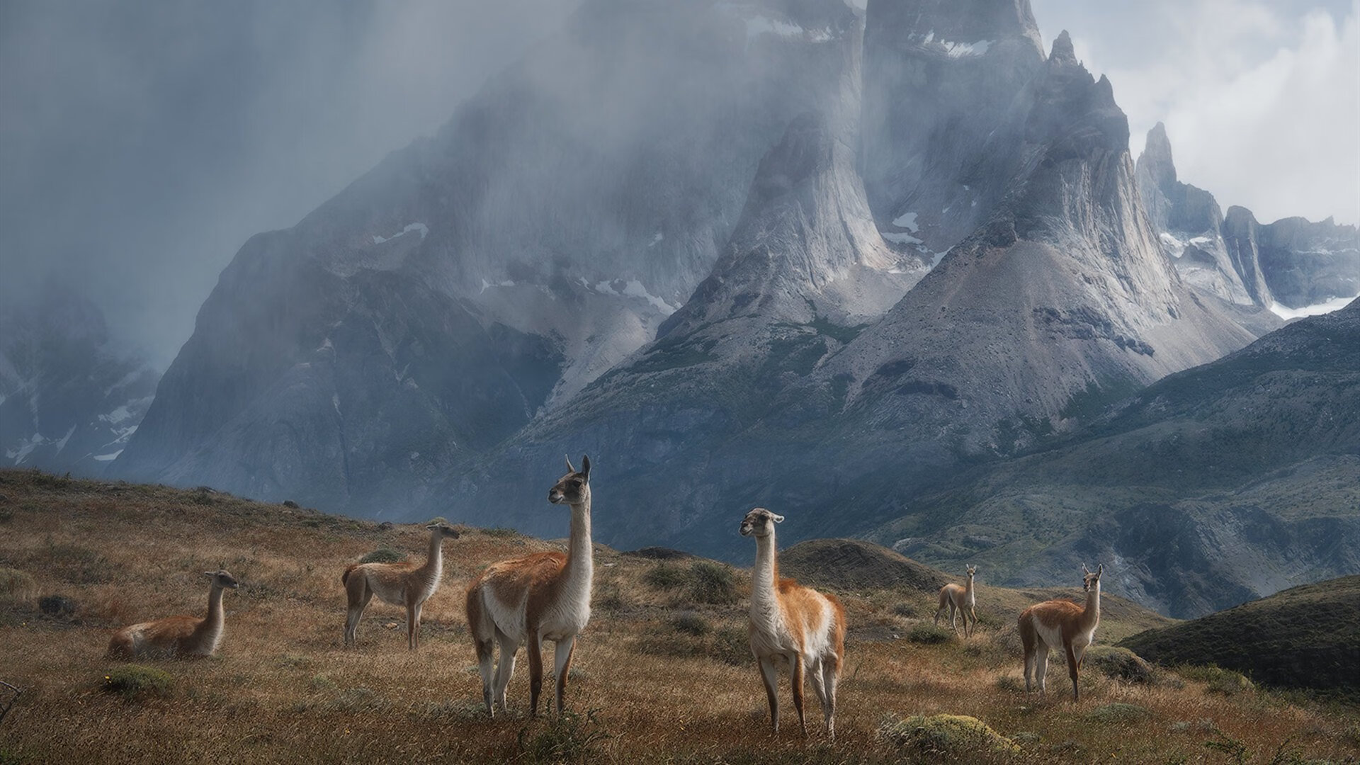 开云体育在线-逆袭之夜，英格拉姆如何用关键球撕碎质疑，上演王者归来