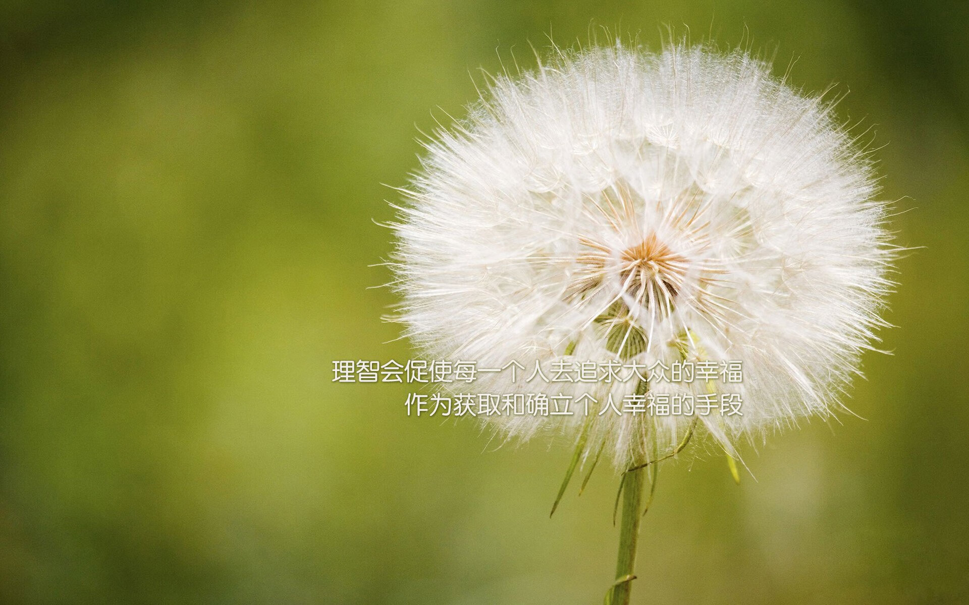充满了戏剧张力和命运感。为了体现唯一性，我会避免写普通的赛事报道，而是从宿命的对决和时代的交接这个独特视角切入，将三位关键人物（C罗、久保健英、苏亚雷斯）的个人历史与这场比赛紧密联系在一起