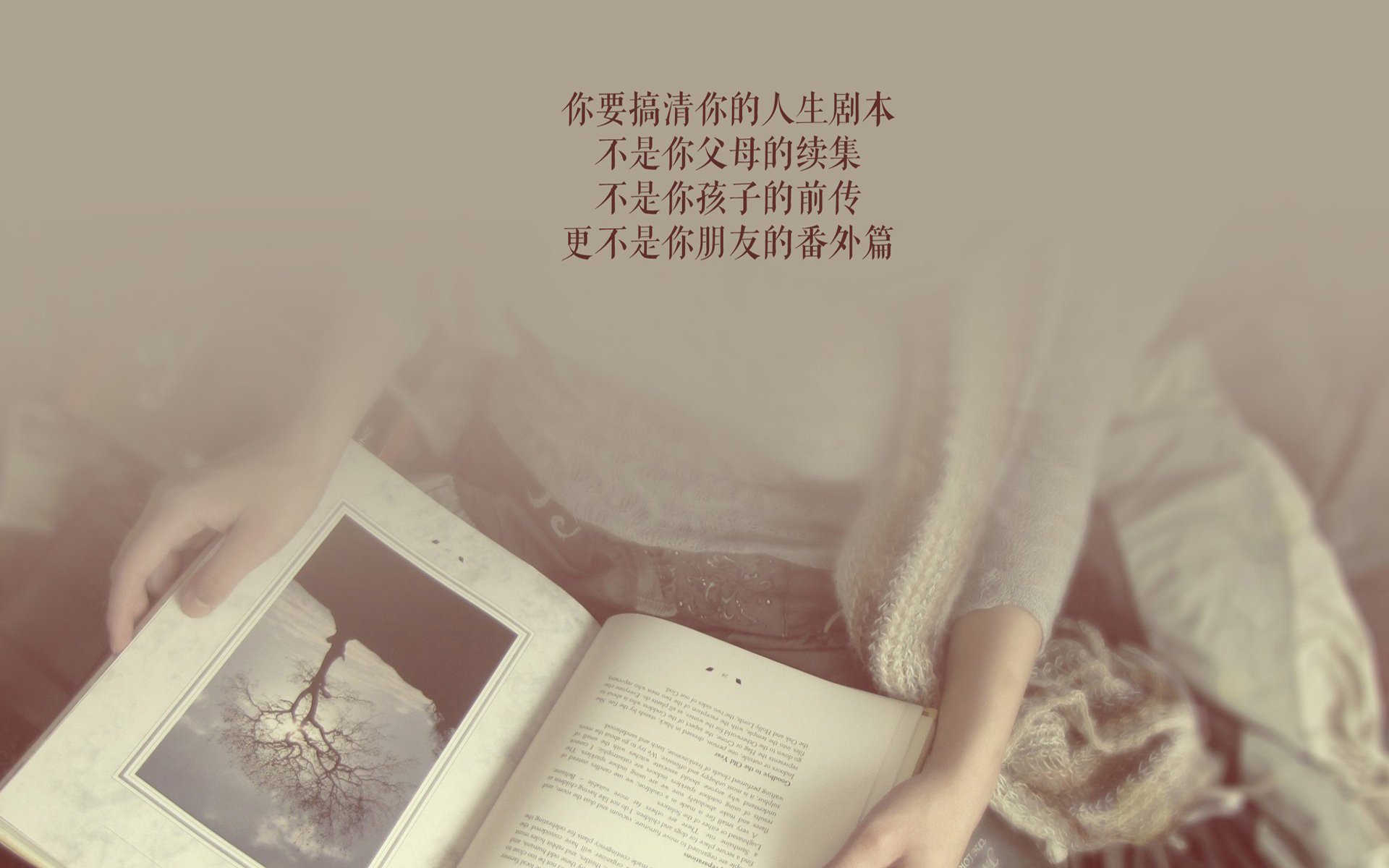 哭泣的巨人，当卢卡库的眼泪与C罗的怒吼，在釜山点燃D组唯一的神性